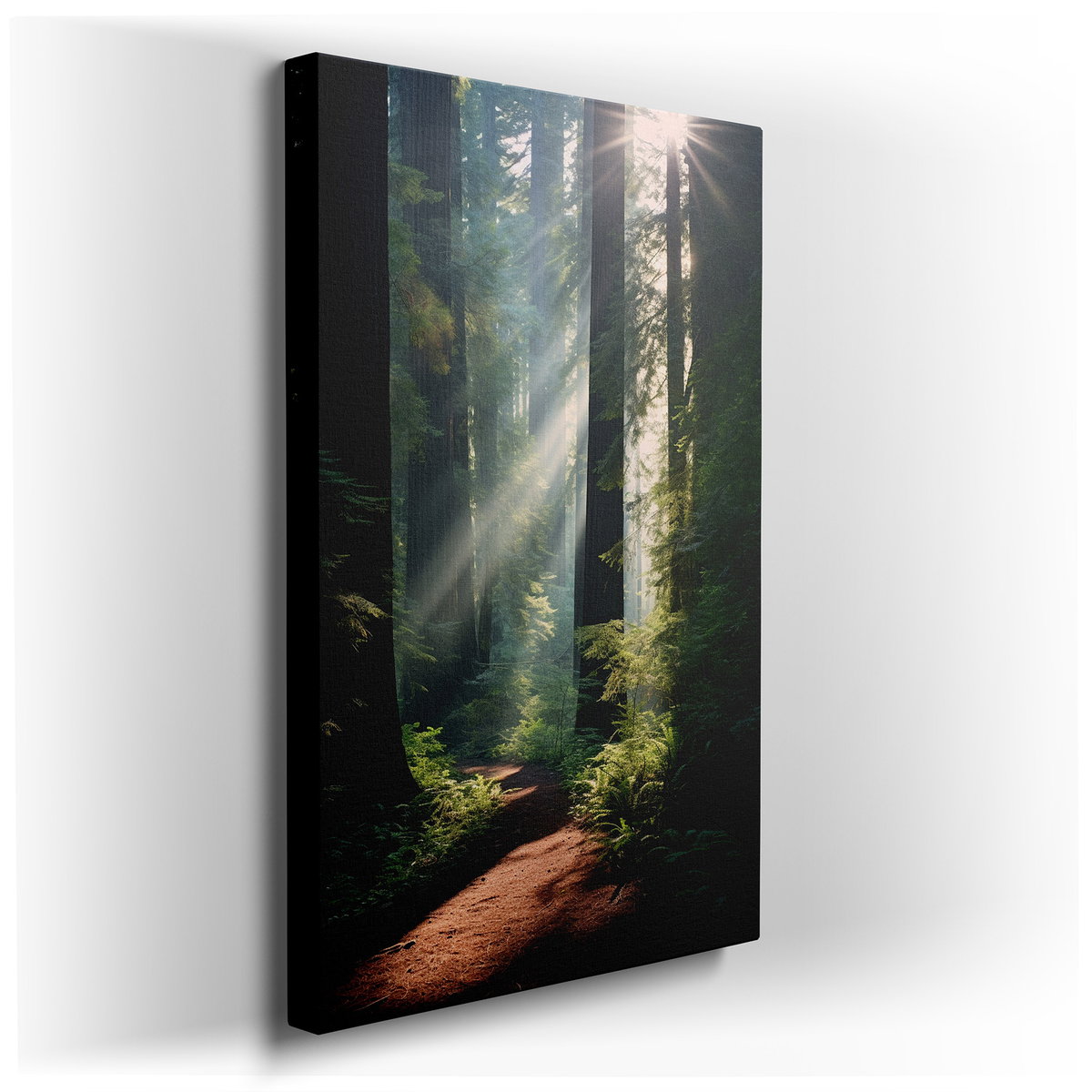 Serene Redwood Forest Canvas: Sunlit Pathway