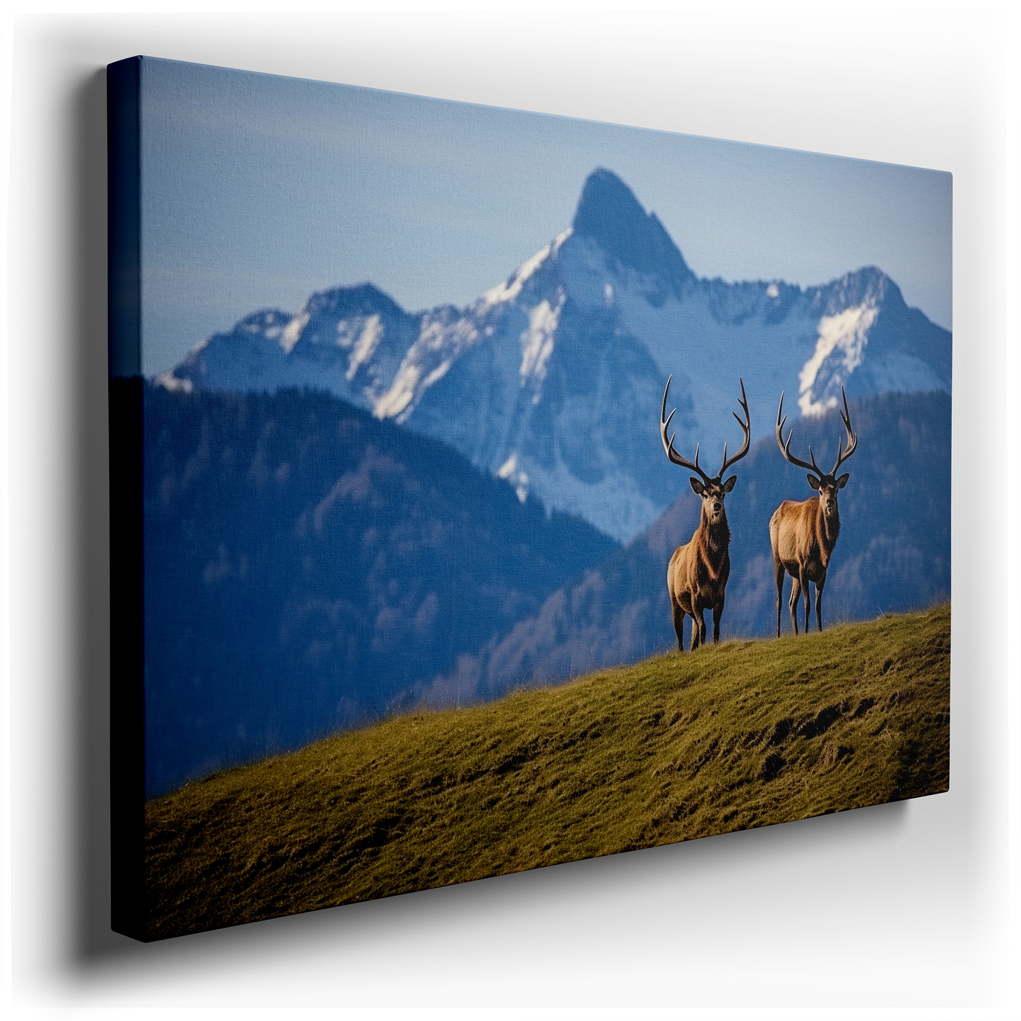 Serene Wilderness and Majestic Elk Large Canvas Wall Art with Lush Greenery and Snow - Capped Mountains for Office and