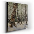 Serene Winter Birch Trees - Tranquil Nature Canvas Wall Art