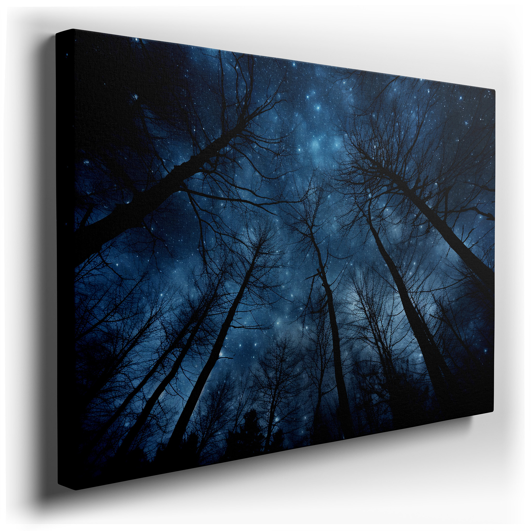 Starlit Sky and Silhouetted Trees: Reflecting on the Vastness of the Universe and Existential Solitude - Large Wall