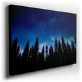 Starry Night with Majestic Pine Silhouettes - Abstract Canvas Wall Art
