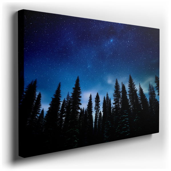 Starry Night with Majestic Pine Silhouettes - Abstract Canvas Wall Art