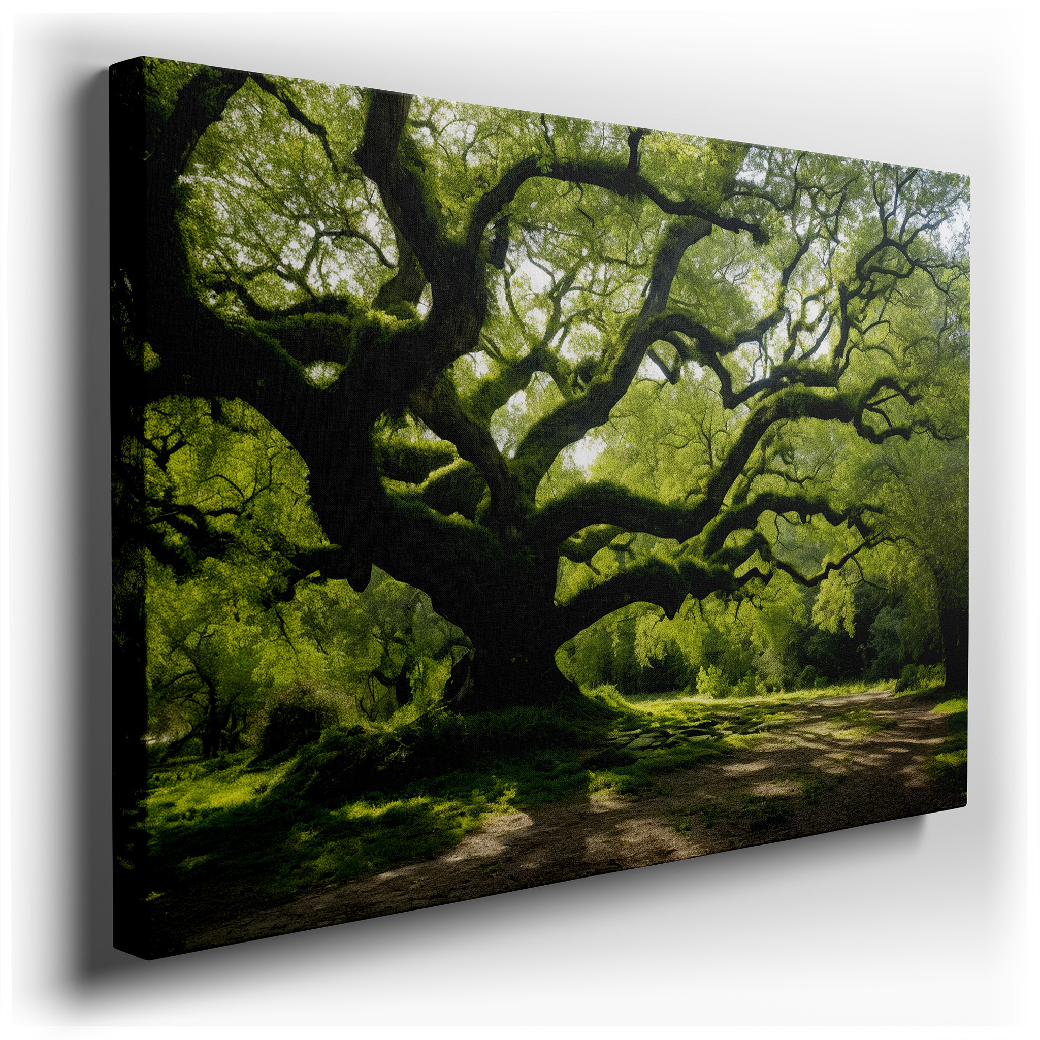 Sun - Dappled Ancient Tree: A Tranquil Sanctuary of Strength - Large Canvas Wall Art for Office Decor wrapped canvas -