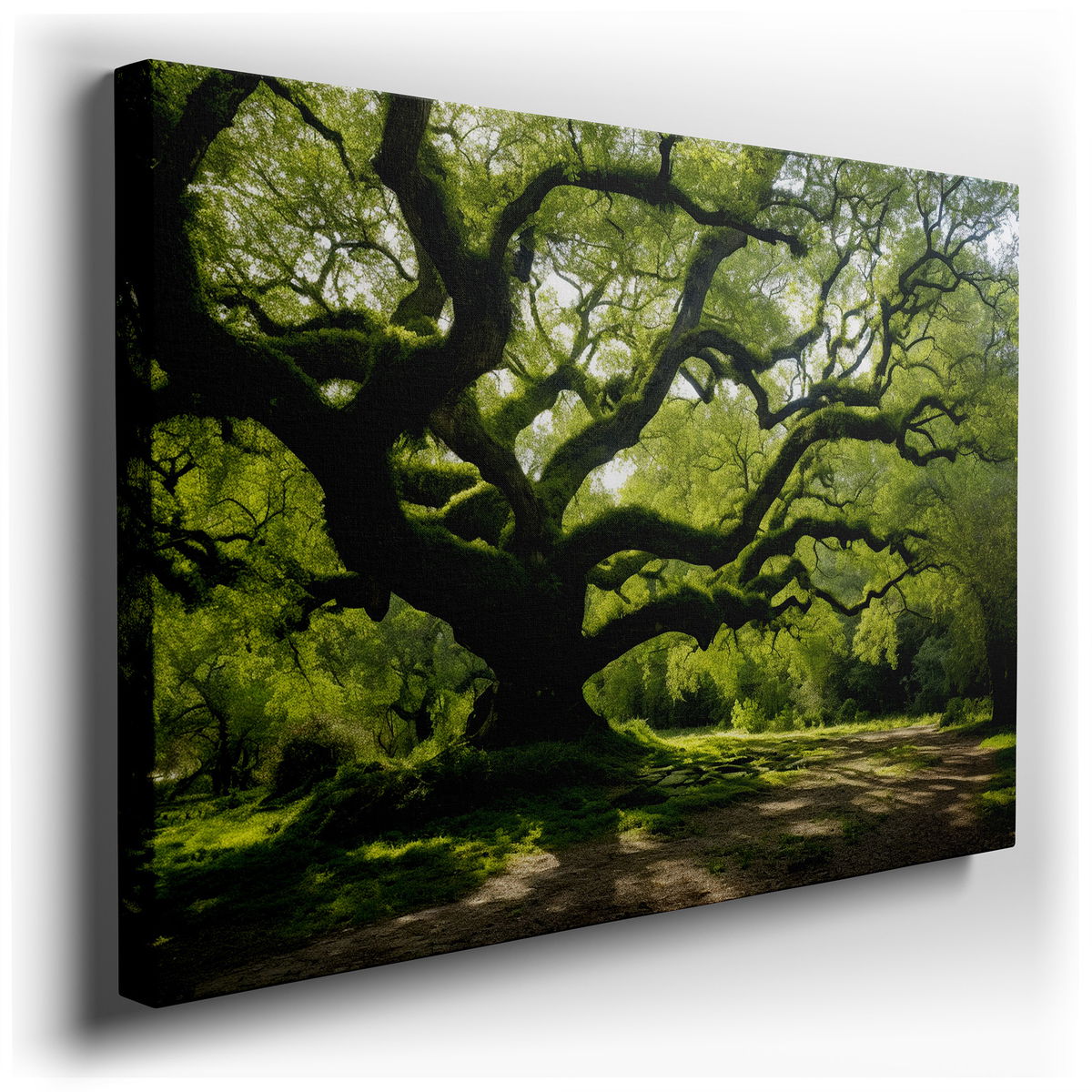Sun-Dappled Ancient Tree - Tranquil Nature Canvas Wall Art