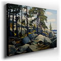 Sunlit Pines and Granite Boulders - Impressionist Canvas Wall Art