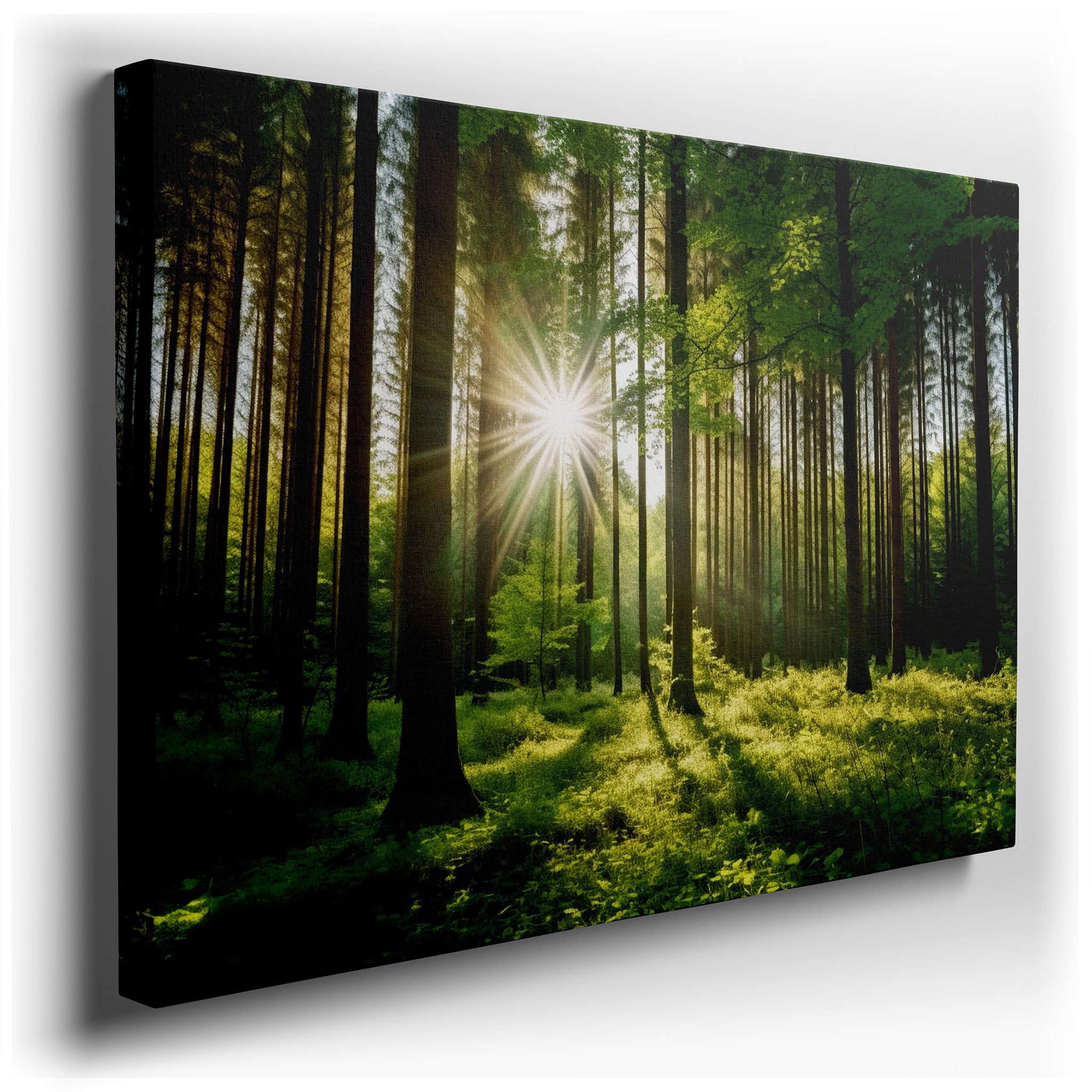 Verdant Forest Sanctuary Wall Art: Embrace the Serenity of Nature with Large Canvas Prints for Home and Office Decor