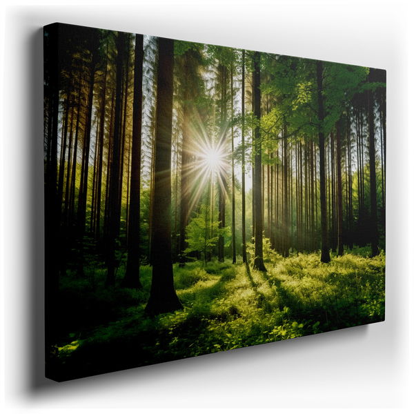 Verdant Forest Sanctuary - Nature Inspired Canvas Wall Art