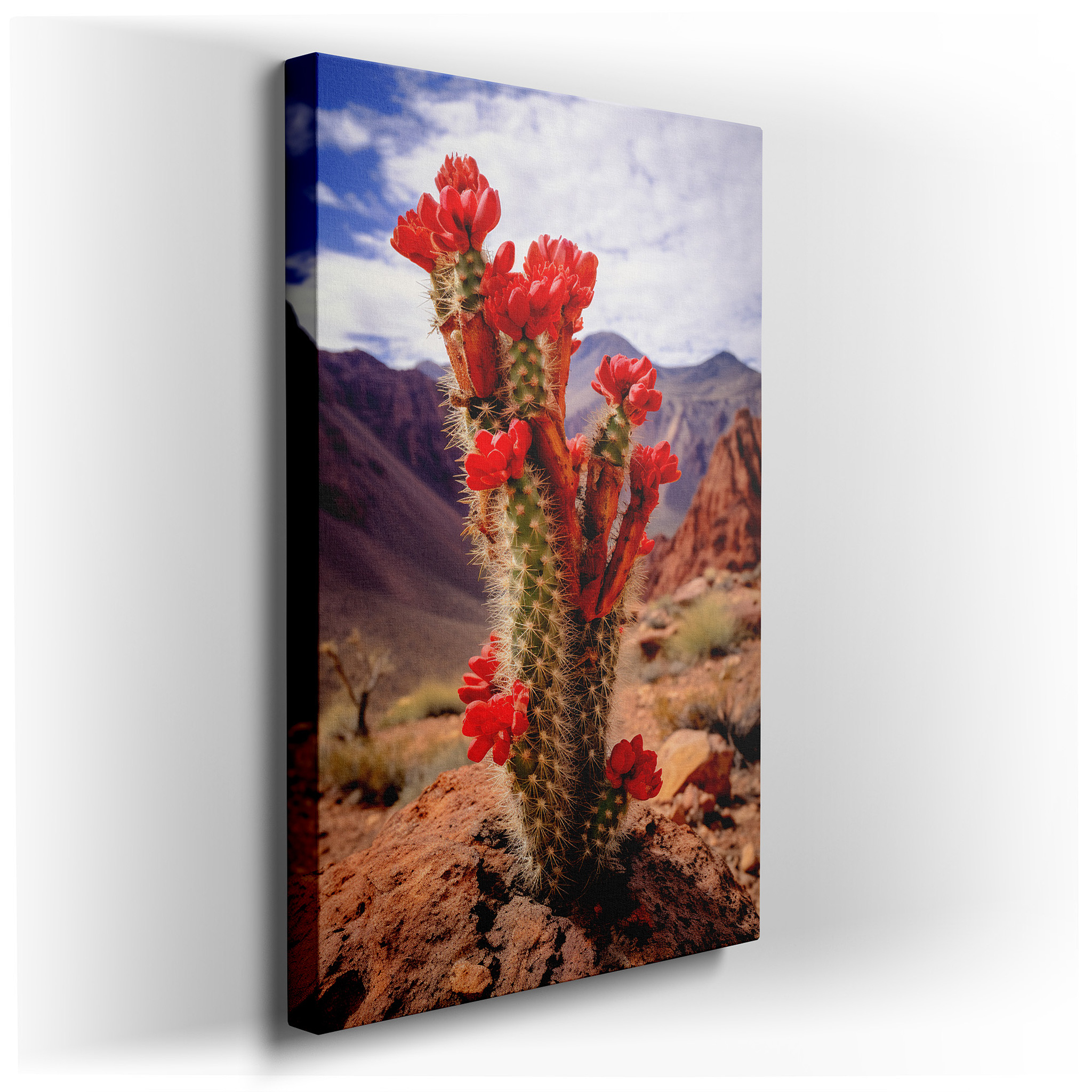 Vivid Red Cactus Flowers Set Against a Peaceful Desert Scene, Representing Resilience and Beauty - Large Wall Art,