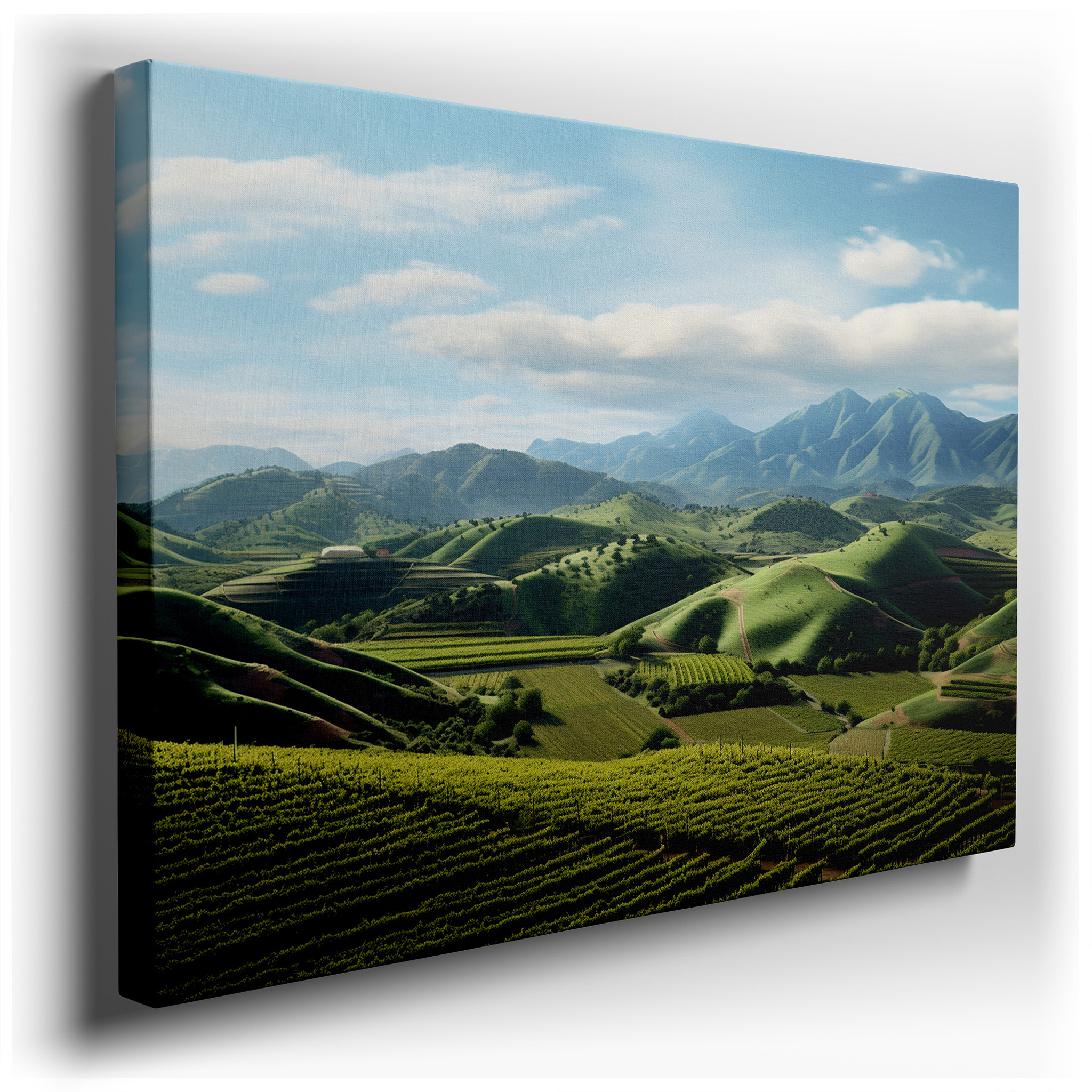 Blending Nature and Human Craftsmanship in a Verdant Vineyard Scene - Large Canvas Wall Art for Home and Office Decor,