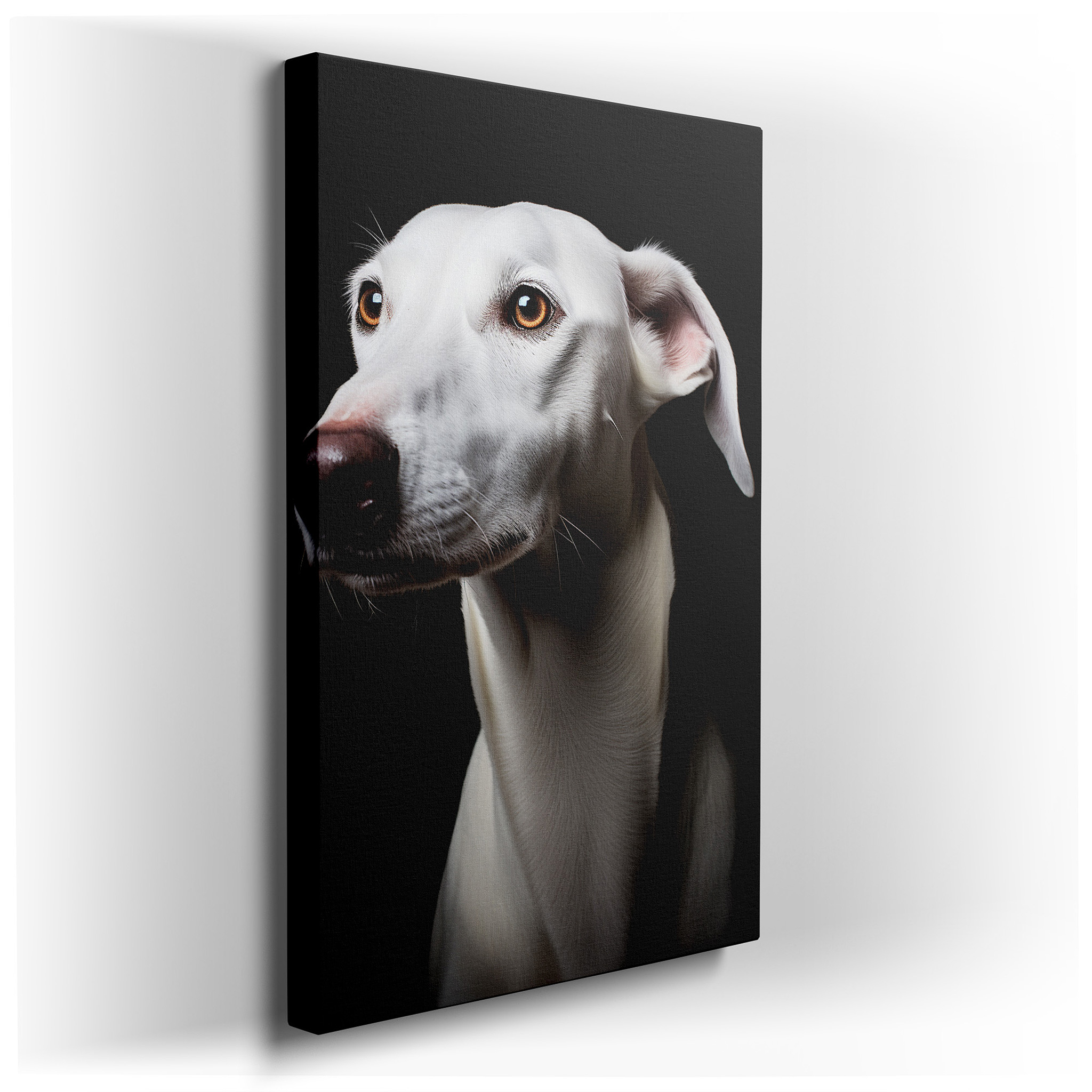 Captivating White Dog with a Soulful Gaze Against a Dark, Serene Backdrop - Large Canvas Wall Art for Office, Bedroom,