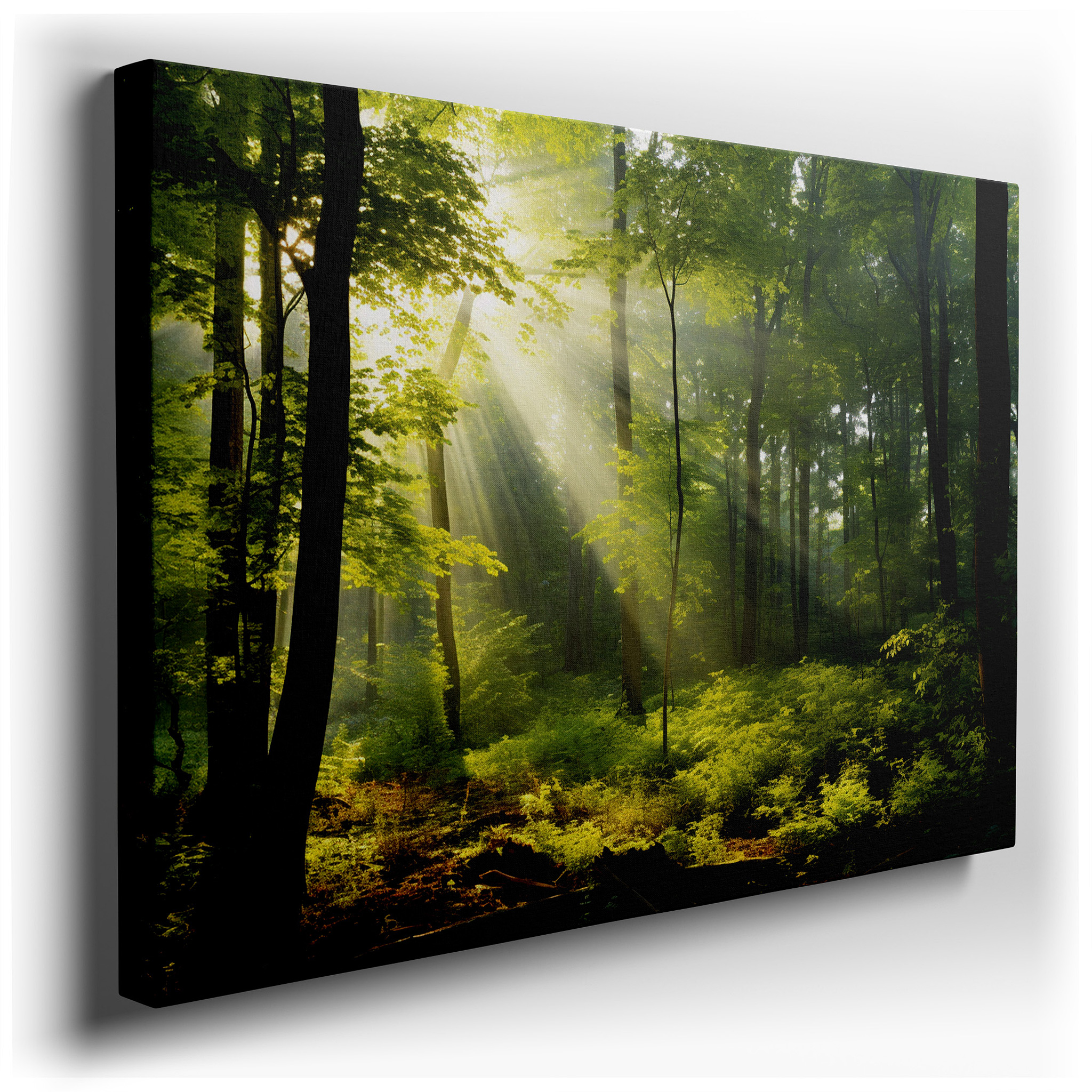 Enchanted Forest Daylight Canopy - Sunlight Dancing Through Lush Greens, Tranquil Woodland Escape - Large Canvas Wall
