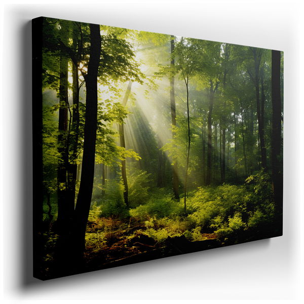 Enchanted Forest Daylight Canopy - Tranquil Green Canvas Wall Art