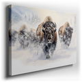 Serene and Mighty Bison - Nature's Tranquility Canvas Wall Art