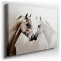 Serene Equine Connection - Canvas Wall Art