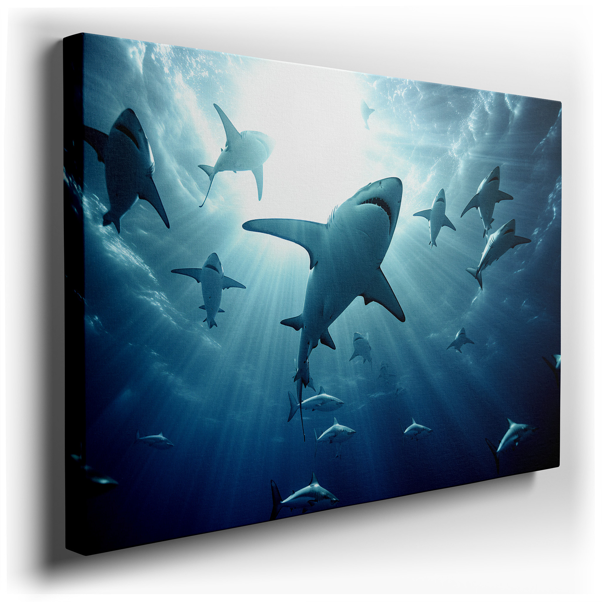 Wall Decor: Elegant Sharks Swimming in Sunlit Waters, Interplay of Light and Shadow - Large Canvas Art for Walls, Ideal