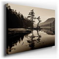 Peaceful Riverbank: Solitary Tree in Monochrome - Canvas Wall Art