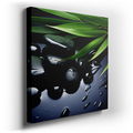Sleek Black Stones and Lush Green Leaves - Tranquil Nature Canvas Wall Art